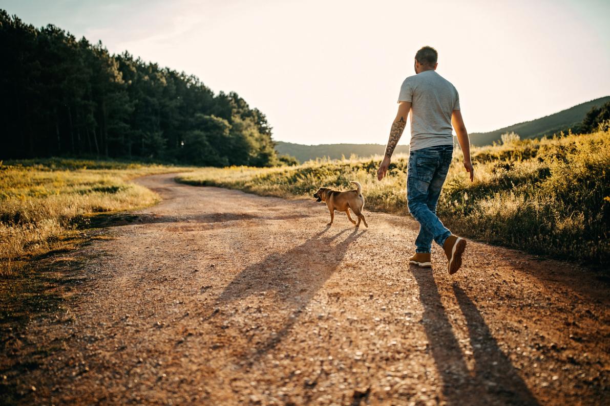 a guy Spending day with dog in nature